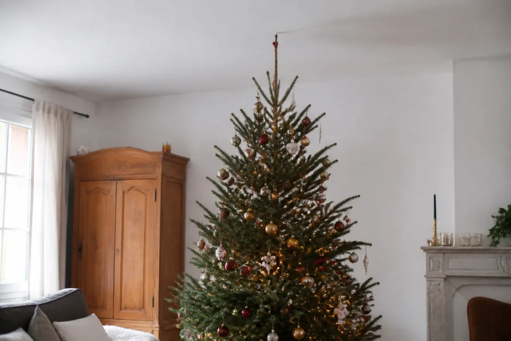 Grand sapin conique decore sous un plafond blanc