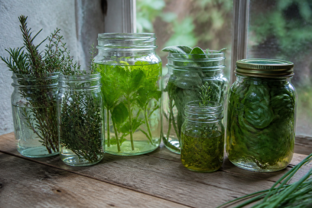 Herbes fraiches vinaigre bocaux liquides naturels