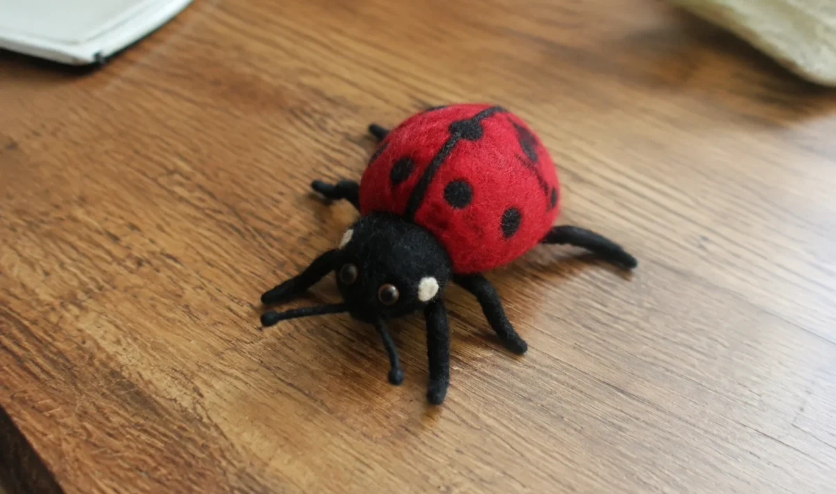 Insecte en feutrine etale sur une table en bois
